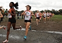 2010NCSXC GD2-2234